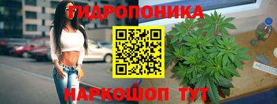 винт Кимры