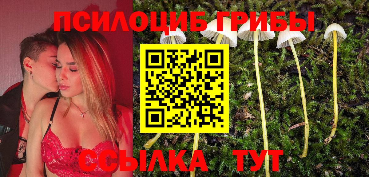 Пугачёв  Галлюциногенные грибы мухоморы  Вход с VPN 